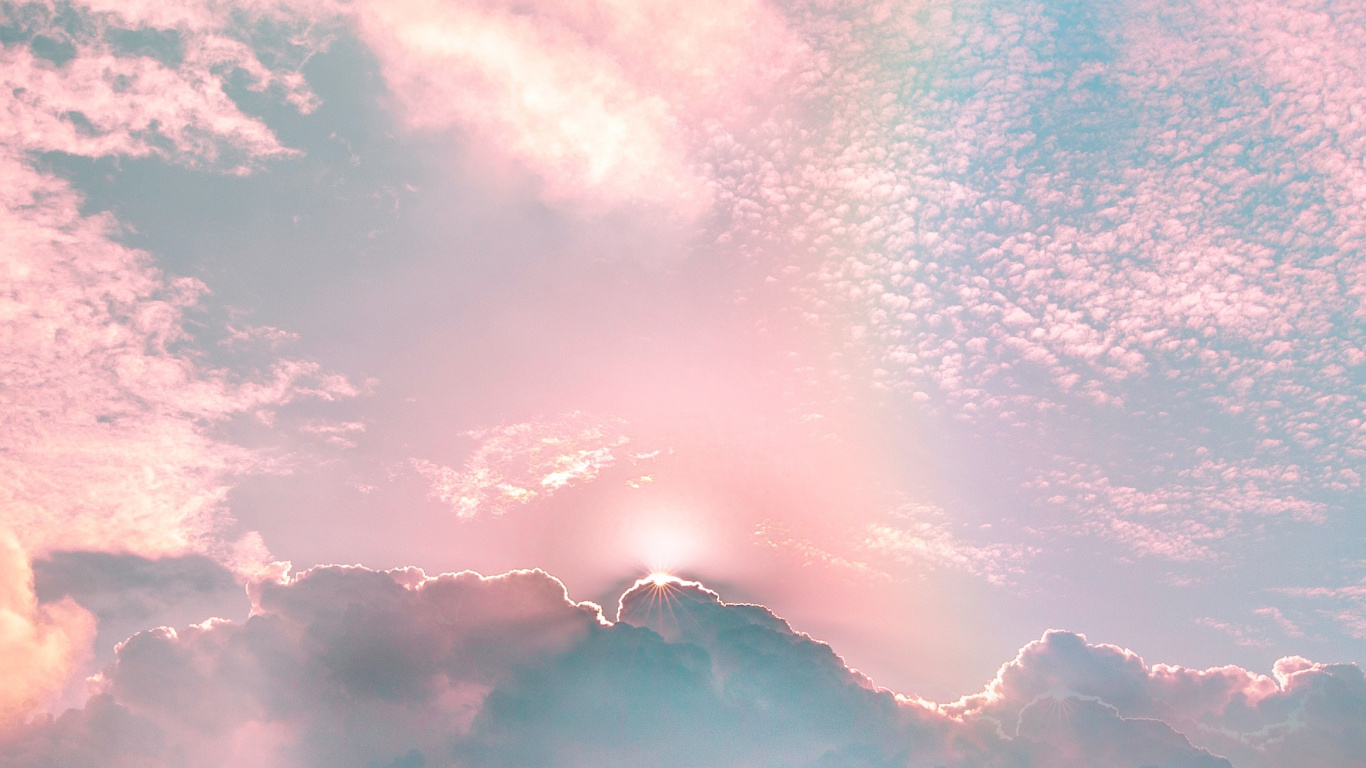 Rosa, Ambiente, Cumulus, Moonbow, la Luz Del Sol. Wallpaper in 1366x768 Resolution