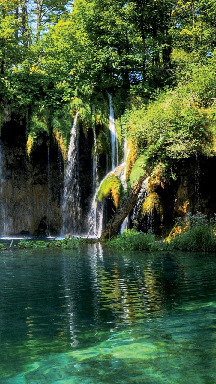 Green Water Falls With Green Trees. Wallpaper in 720x1280 Resolution