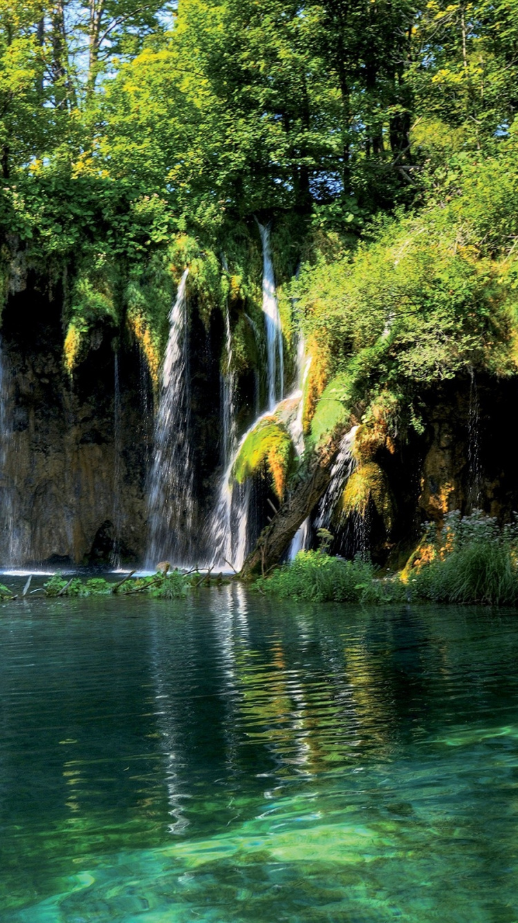 Green Water Falls With Green Trees. Wallpaper in 750x1334 Resolution