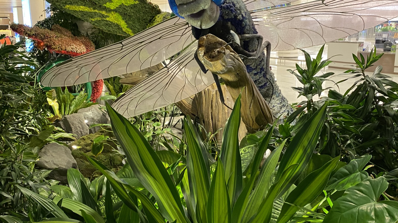 Feuille, Bleu Majorelle, Plante, Biologie, Sciences. Wallpaper in 1280x720 Resolution