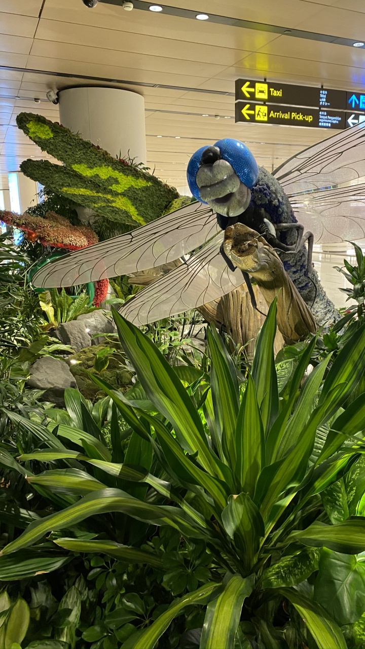 Feuille, Bleu Majorelle, Plante, Biologie, Sciences. Wallpaper in 720x1280 Resolution