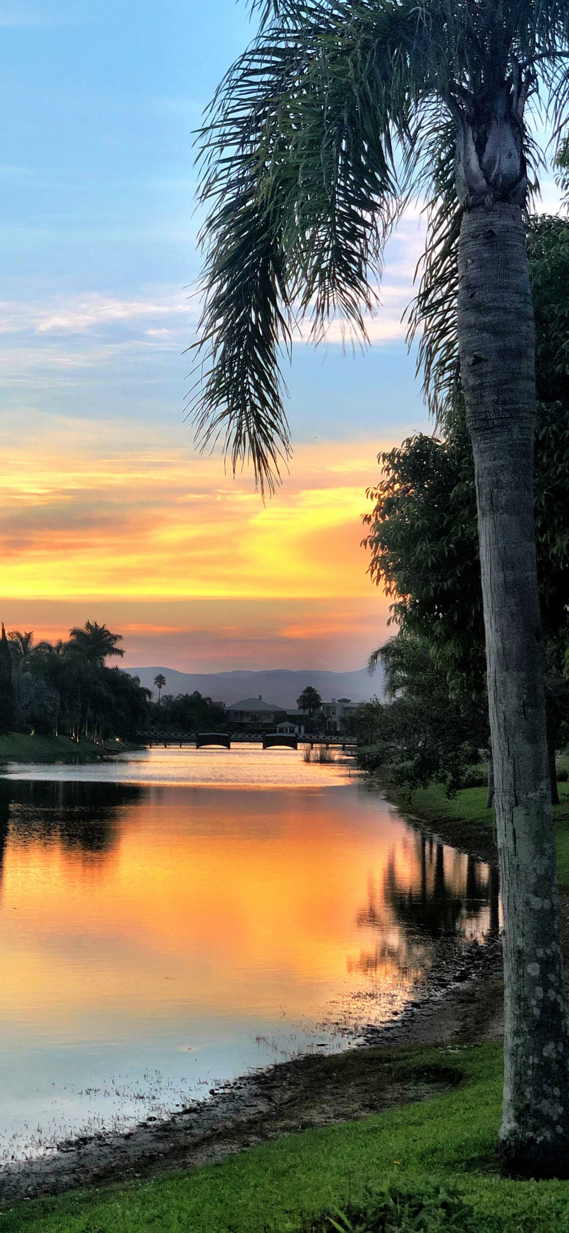 Reflection, Molar Concentration, Water, Cloud, Plant. Wallpaper in 1125x2436 Resolution