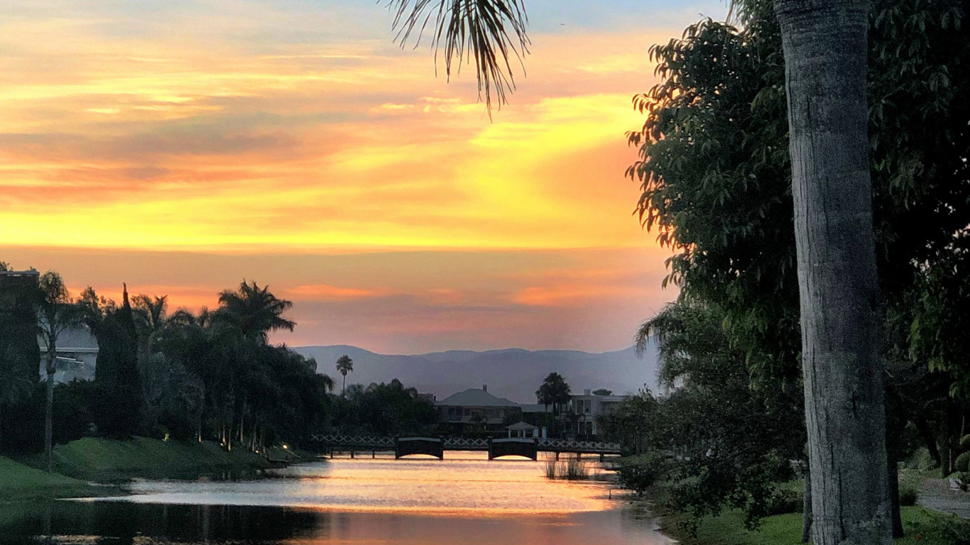 Reflection, Molar Concentration, Water, Cloud, Plant. Wallpaper in 1366x768 Resolution