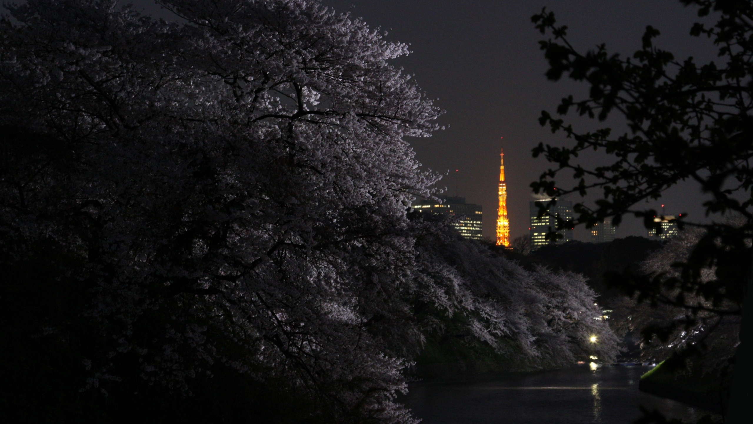 性质, 气氛, 樱花, 工厂, 东京塔 壁纸 2560x1440 允许