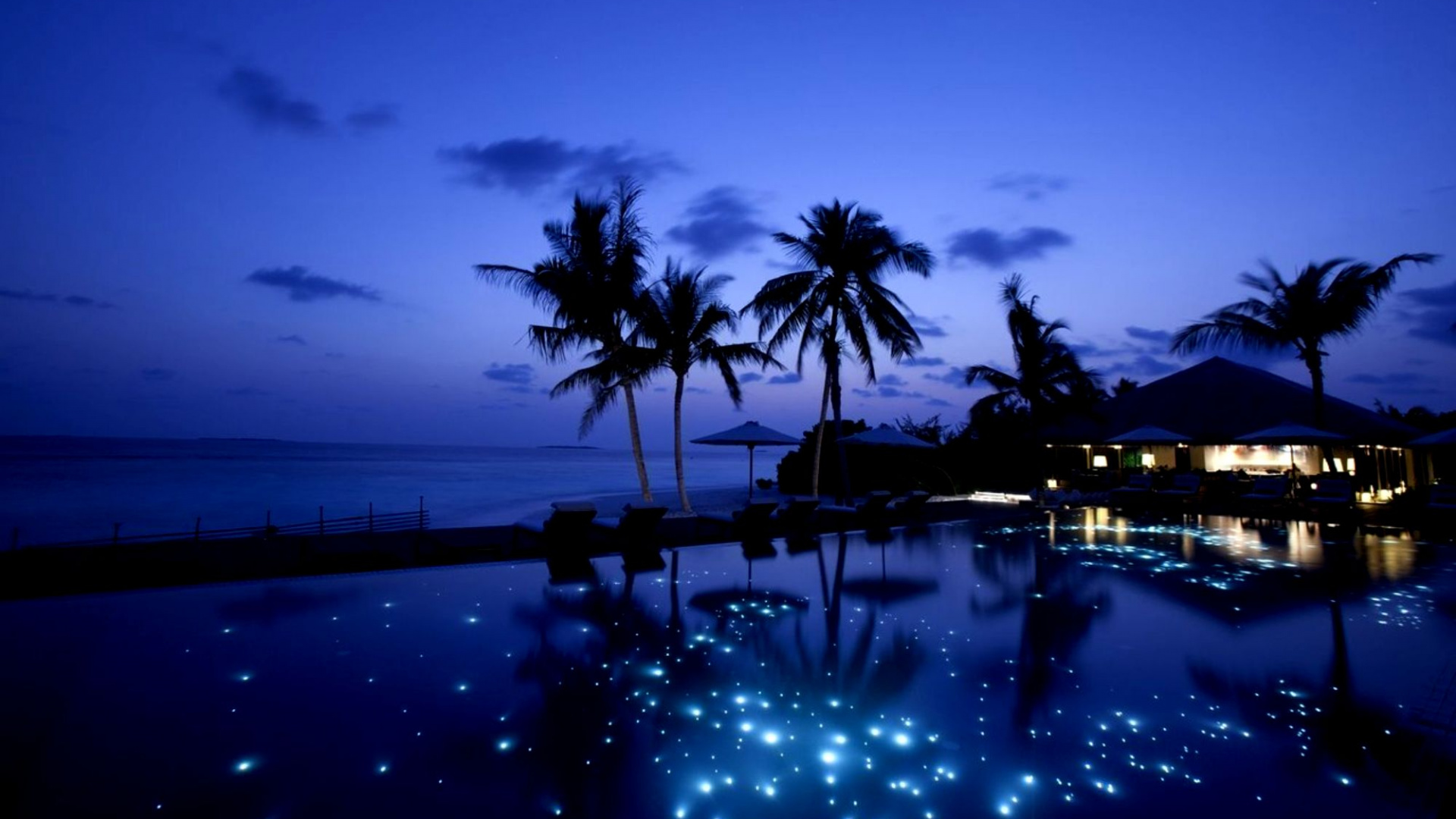 Palmeras Cerca Del Cuerpo de Agua Durante la Noche. Wallpaper in 1920x1080 Resolution