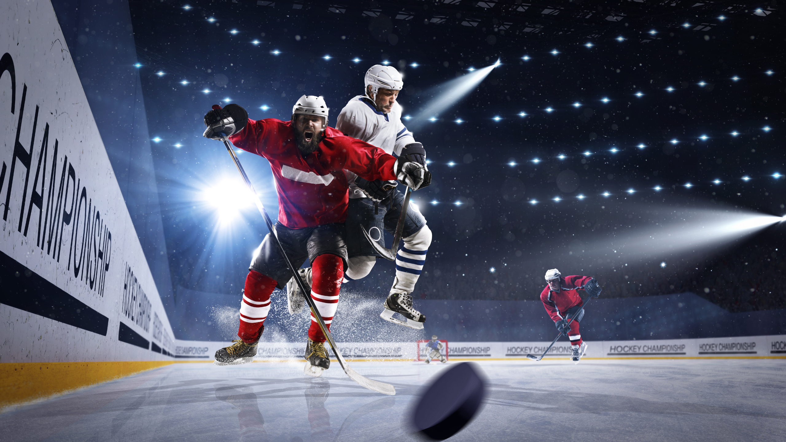 Ice Hockey Players on Ice Hockey Field. Wallpaper in 2560x1440 Resolution