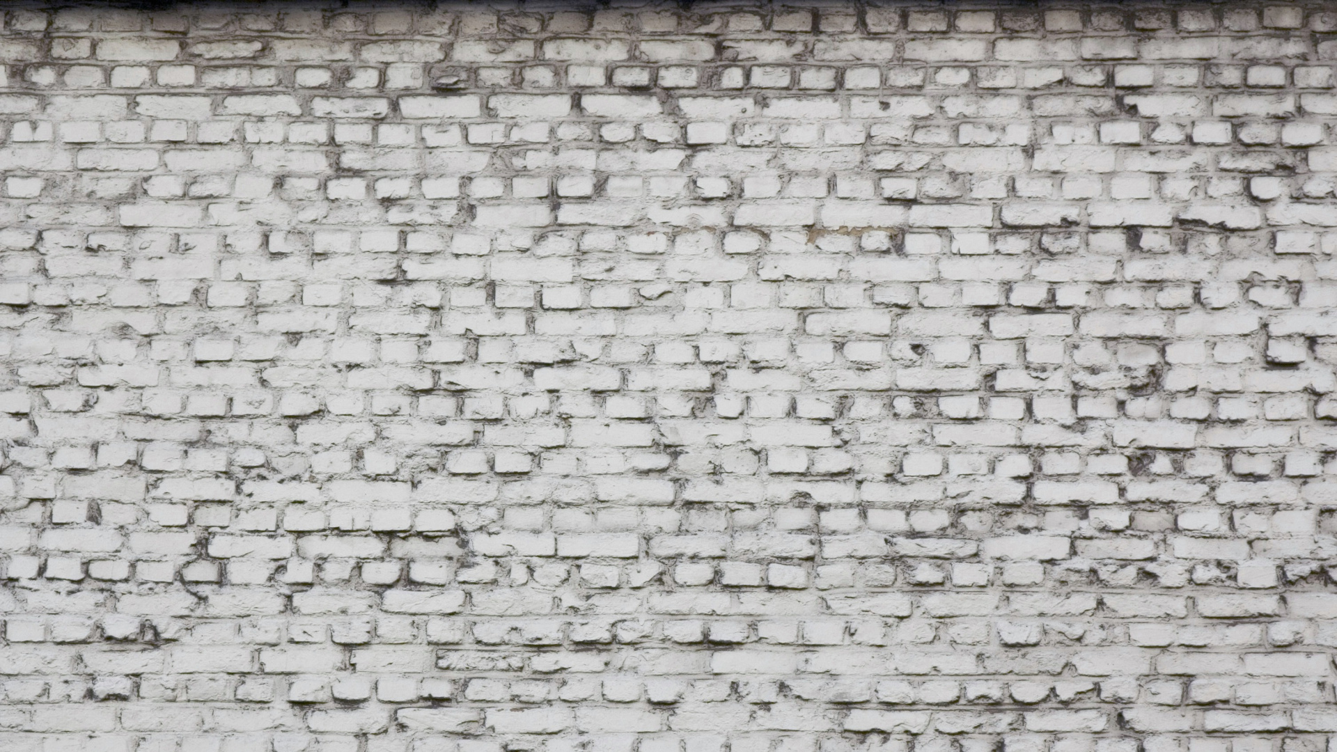 Mur de Briques Blanches et Brunes. Wallpaper in 1920x1080 Resolution