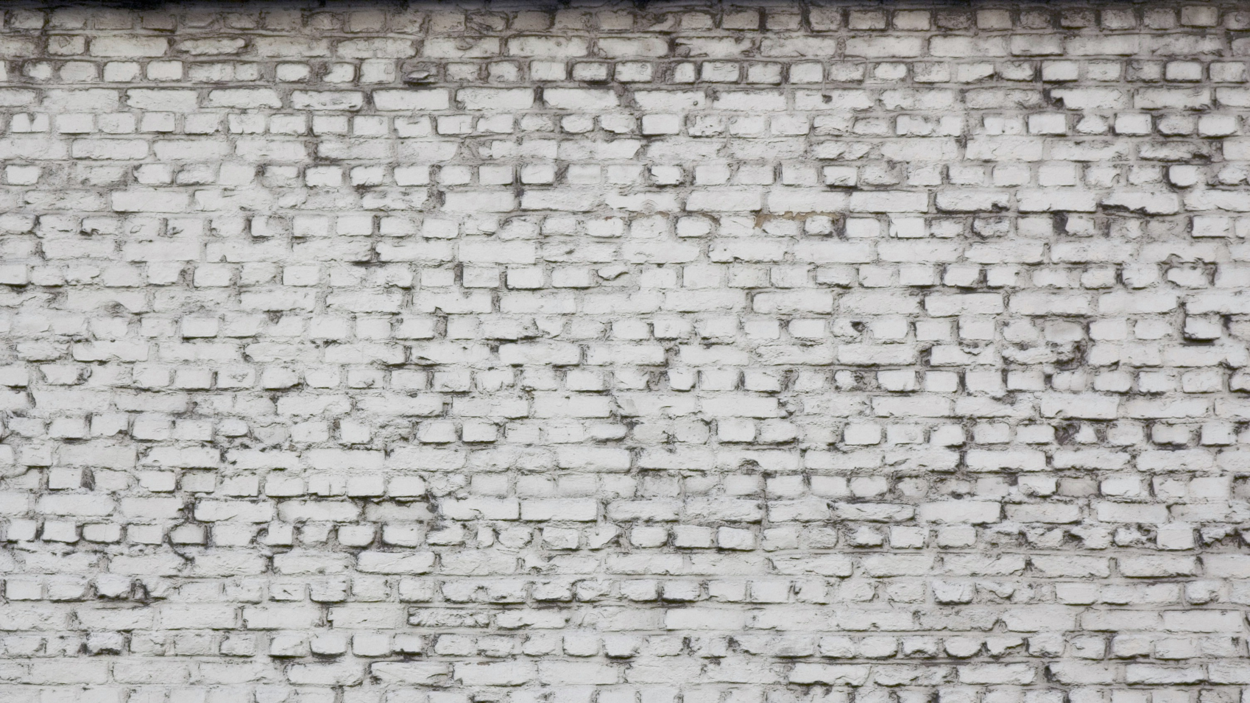 Weiße Und Braune Mauer. Wallpaper in 2560x1440 Resolution