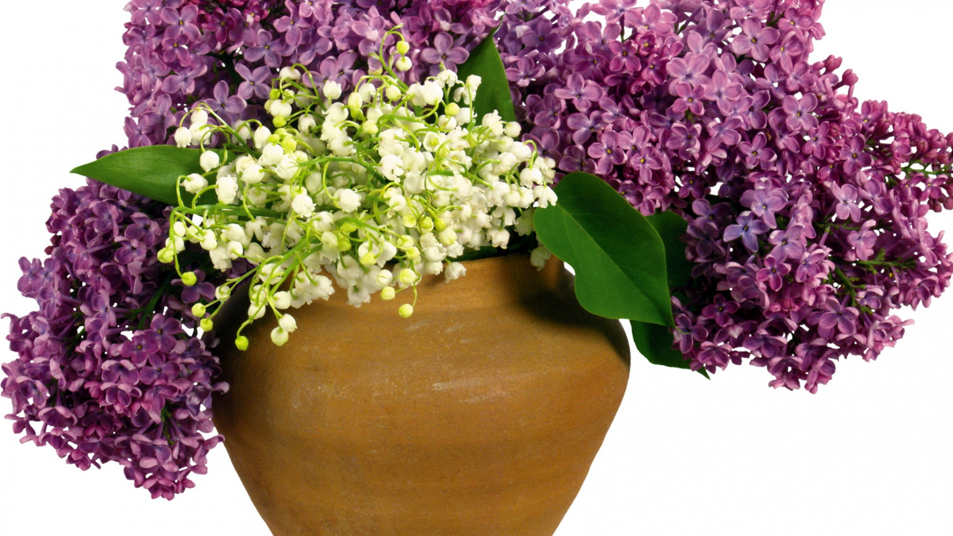 Purple and White Flowers on Brown Clay Pot. Wallpaper in 1920x1080 Resolution
