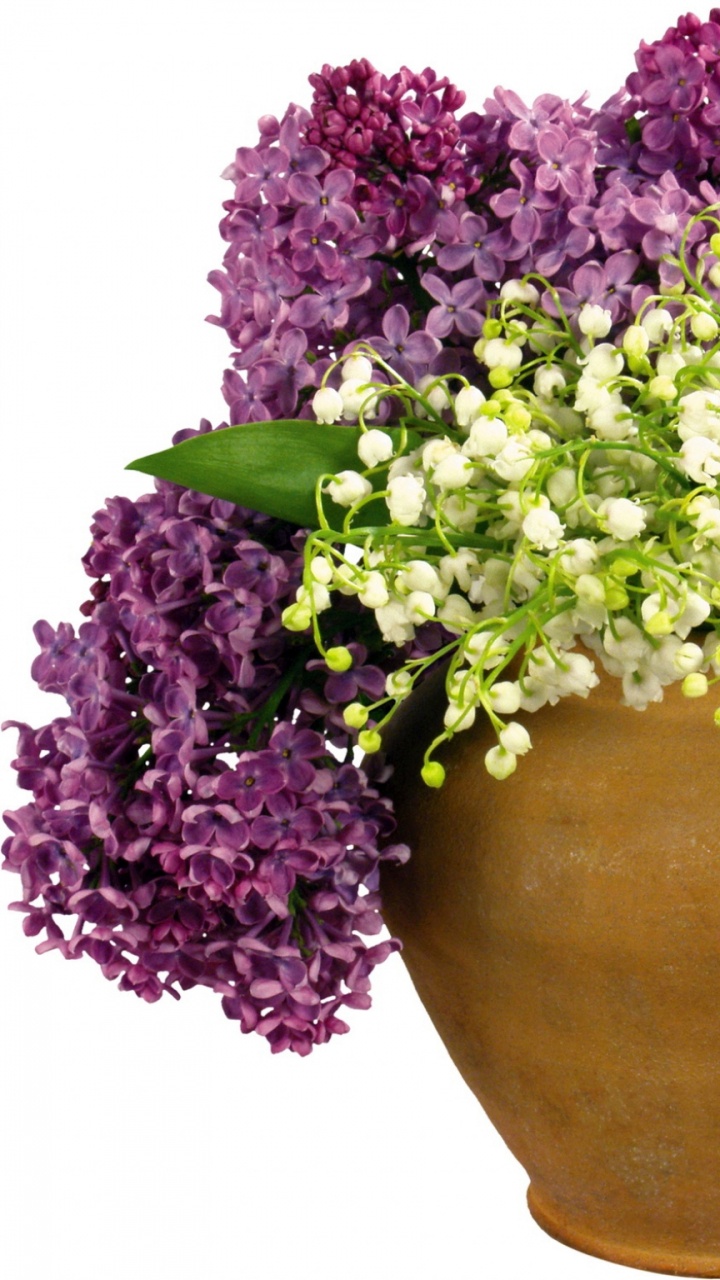 Purple and White Flowers on Brown Clay Pot. Wallpaper in 720x1280 Resolution