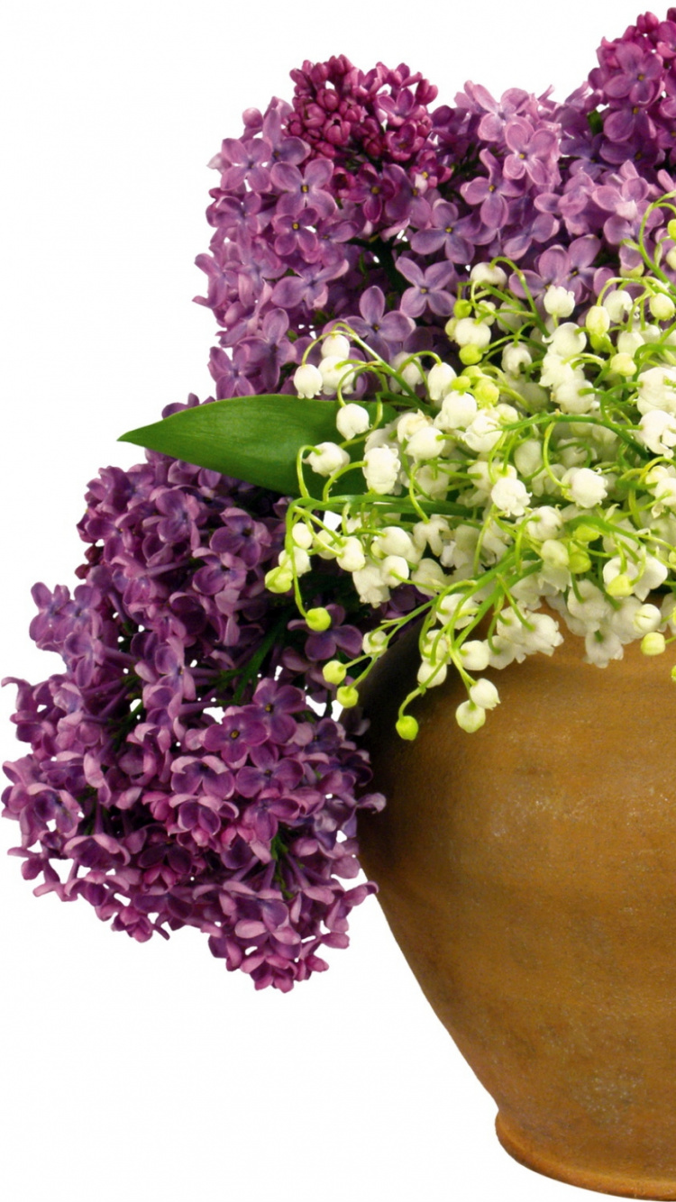 Purple and White Flowers on Brown Clay Pot. Wallpaper in 750x1334 Resolution