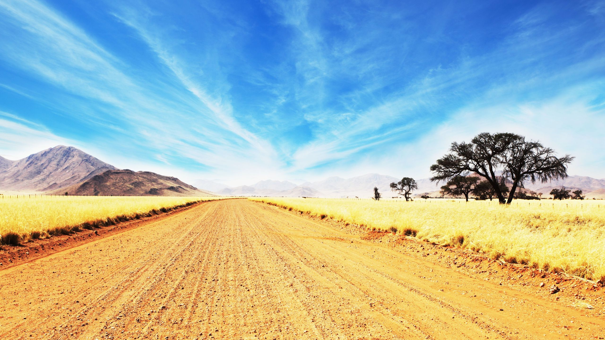 Brown Field Under Blue Sky During Daytime. Wallpaper in 2560x1440 Resolution
