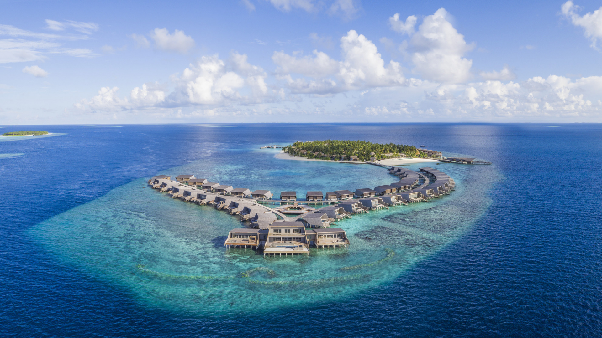 Aerial View of Green Trees Near Body of Water During Daytime. Wallpaper in 1920x1080 Resolution