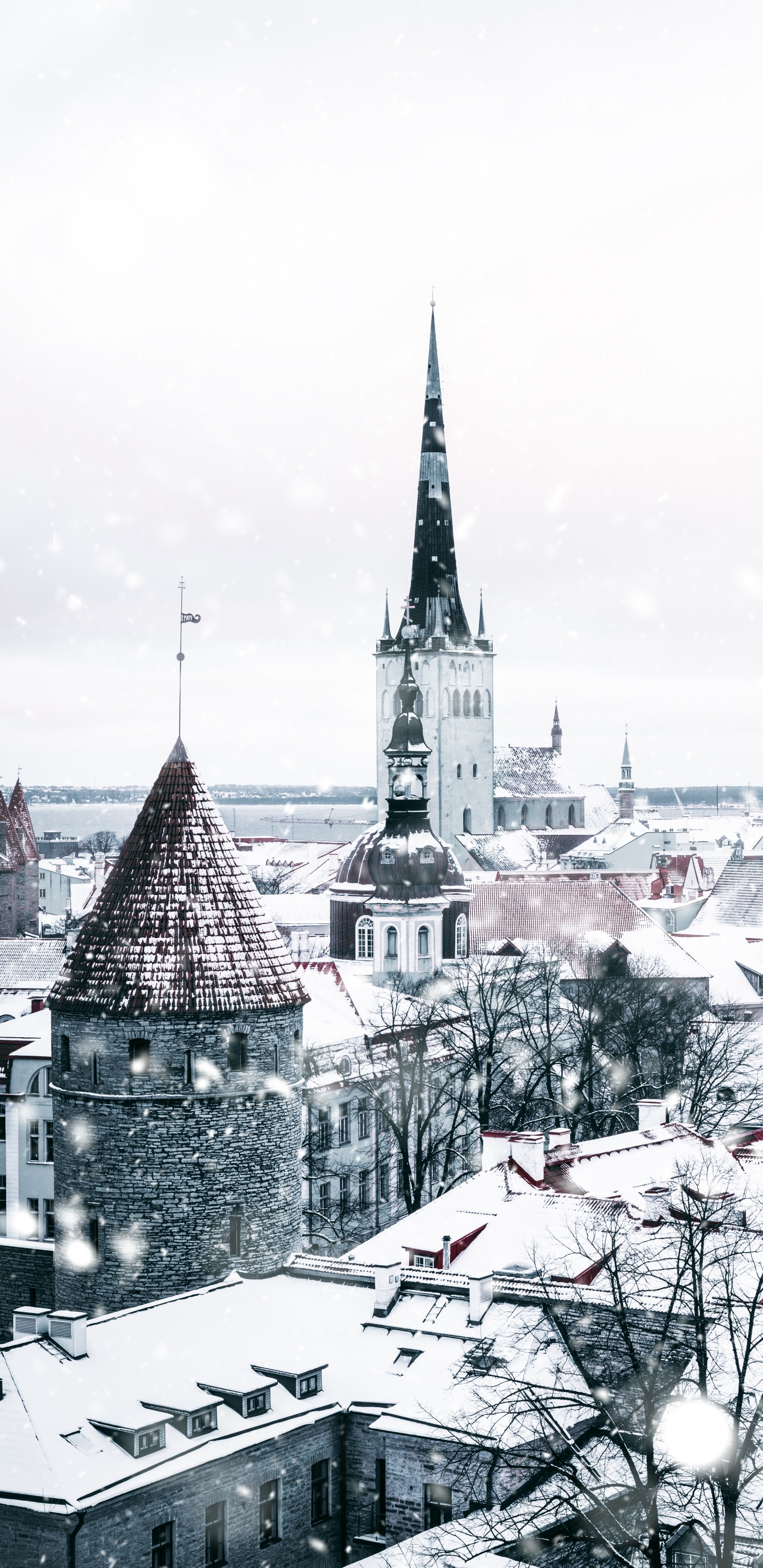 Maisons Couvertes de Neige Pendant la Journée. Wallpaper in 1440x2960 Resolution