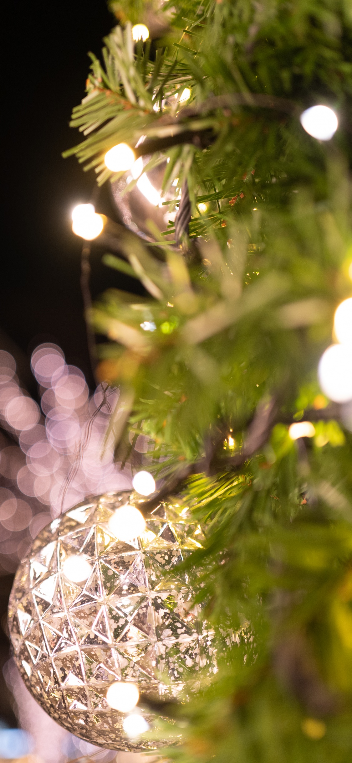 Planta Leñosa, Luz, Navidad, Ramita, Adorno de Navidad. Wallpaper in 1125x2436 Resolution