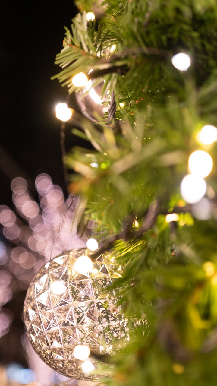 Planta Leñosa, Luz, Navidad, Ramita, Adorno de Navidad. Wallpaper in 720x1280 Resolution