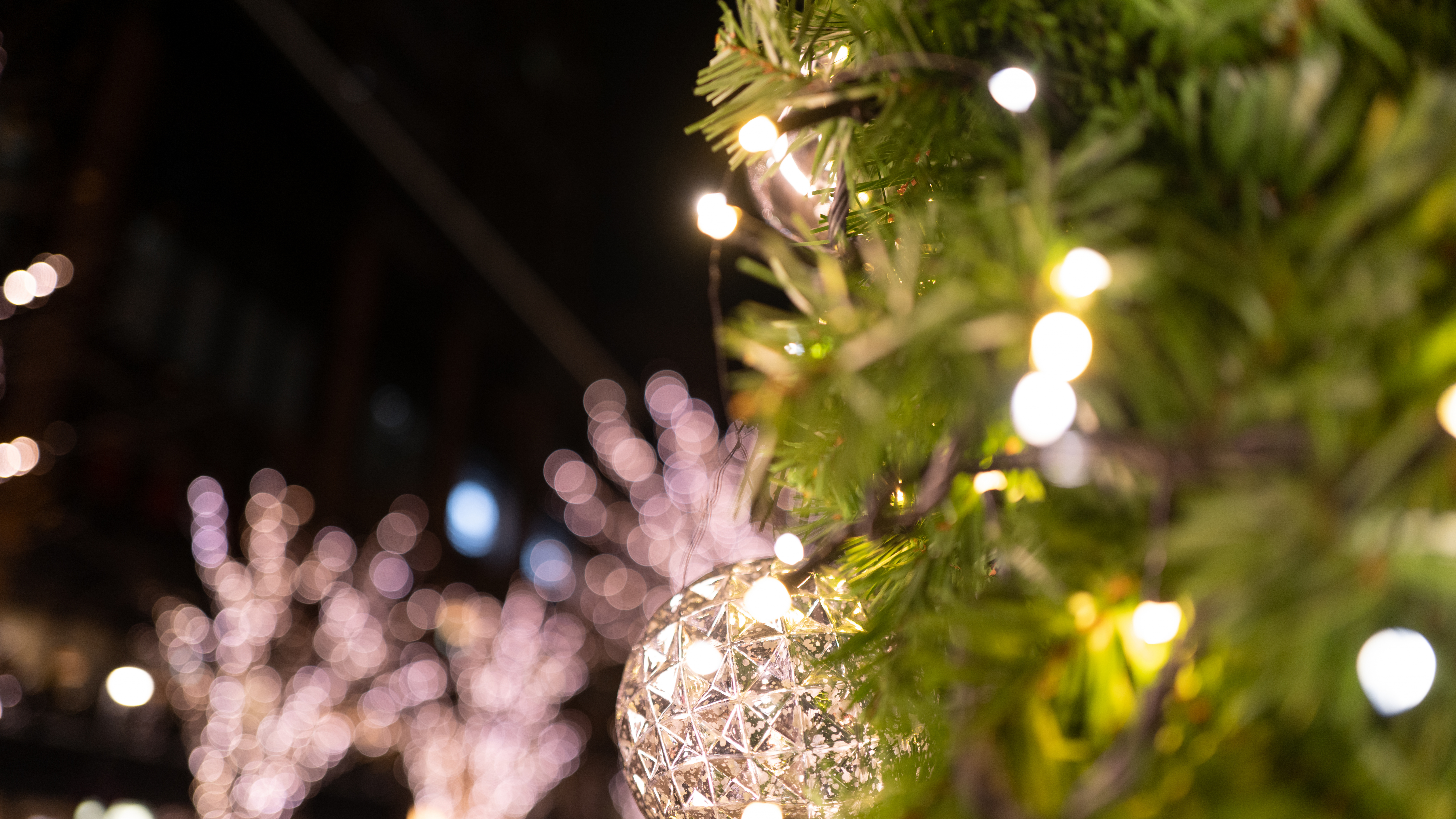 Planta Leñosa, Luz, Navidad, Ramita, Adorno de Navidad. Wallpaper in 7680x4320 Resolution