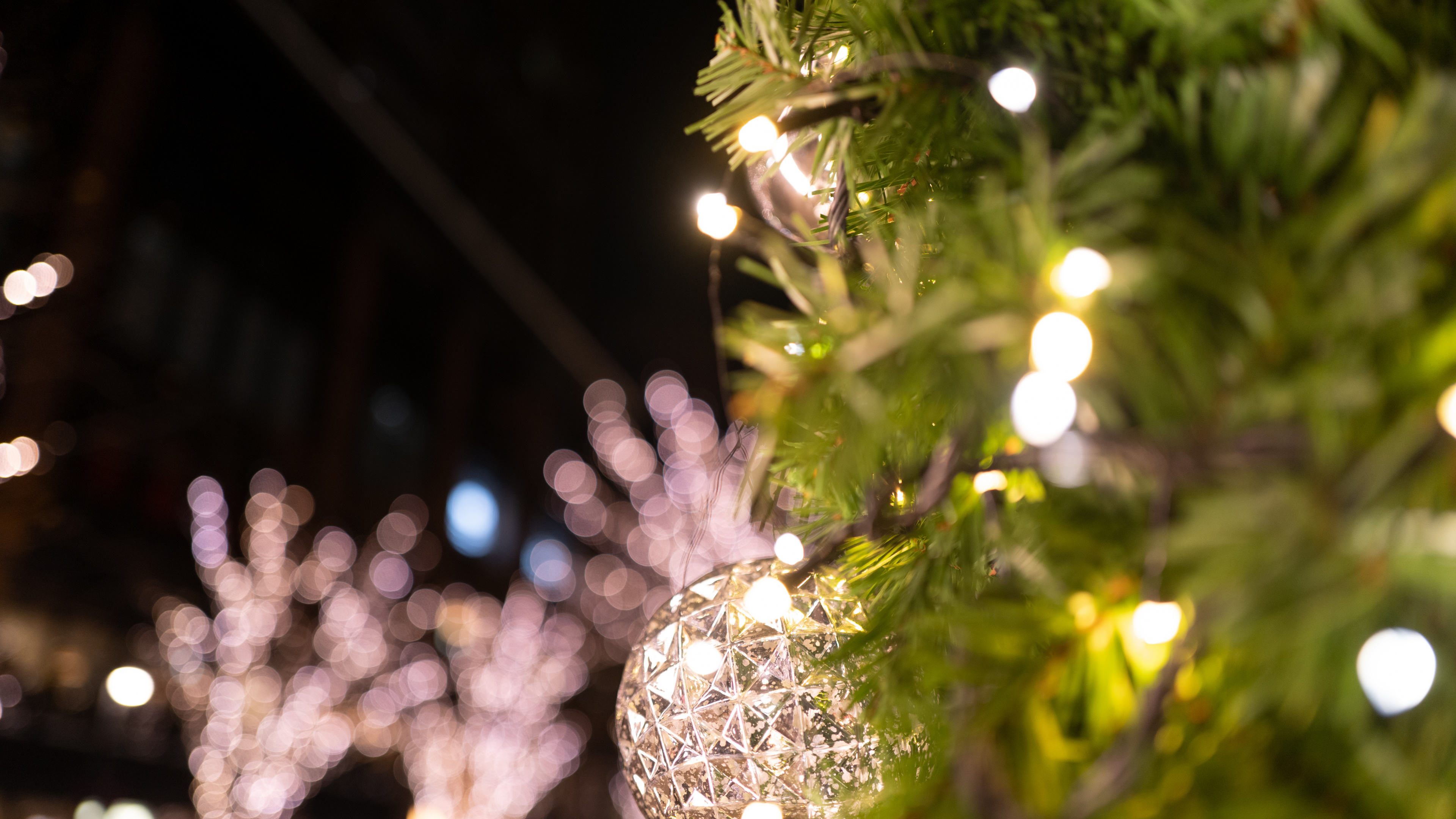 Plantes Ligneuses, Lumière, Rameau, Ornement de Noël, Arbre de Noël. Wallpaper in 3840x2160 Resolution