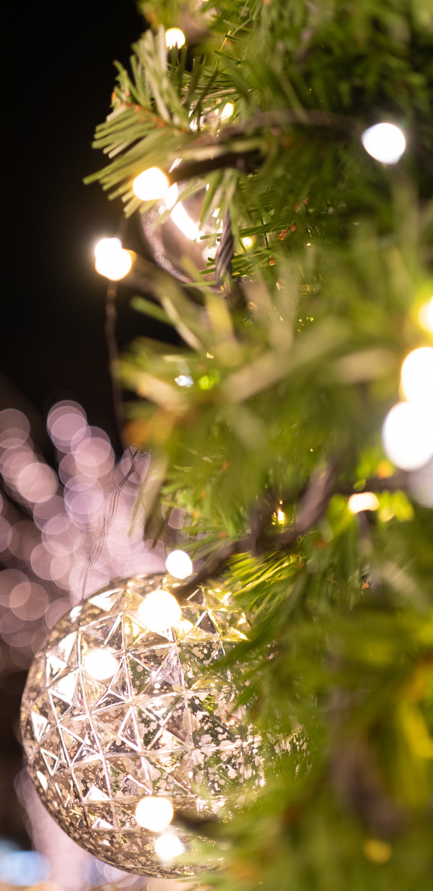 Woody Pflanze, Baum, Licht, Zweig, Christmas Ornament. Wallpaper in 1440x2960 Resolution