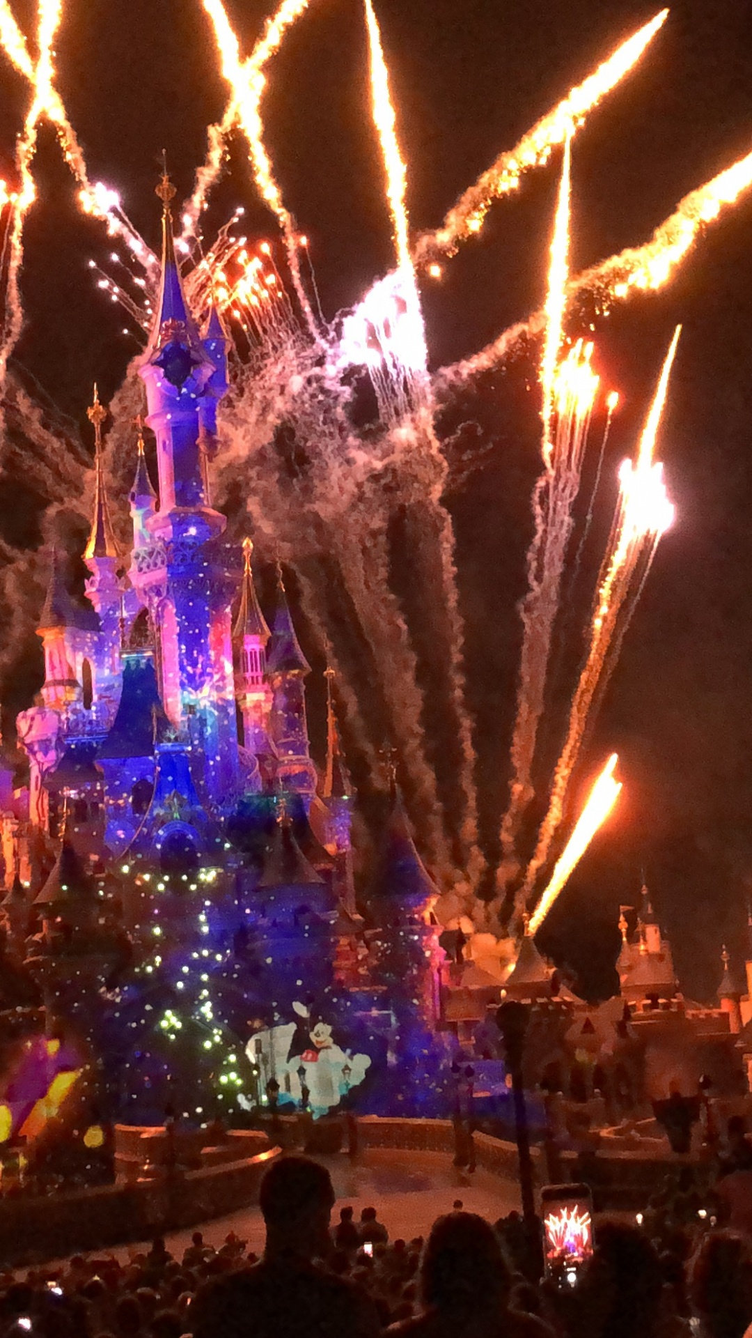 Disneyland, Artifice, le Réveillon du Nouvel An, Attraction Touristique, Nuit. Wallpaper in 1080x1920 Resolution