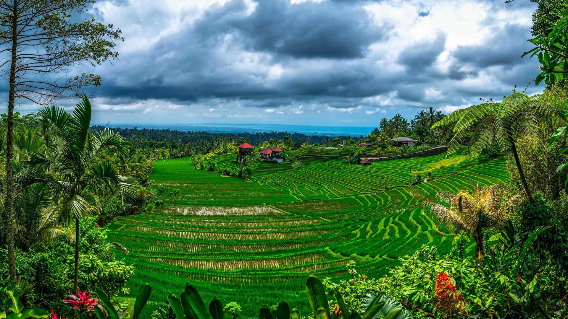 巴厘岛, 性质, 植被, 山站, 安装的风景 壁纸 1920x1080 允许