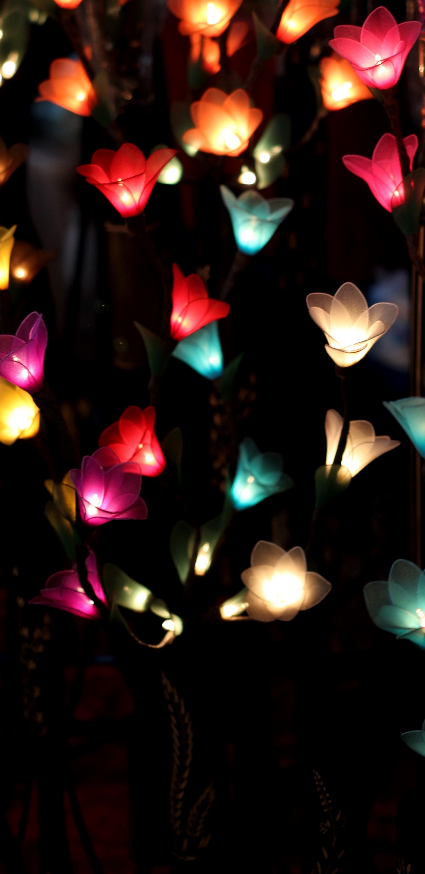 Garland, Flower, Lighting, Light, Christmas Lights. Wallpaper in 1440x2960 Resolution