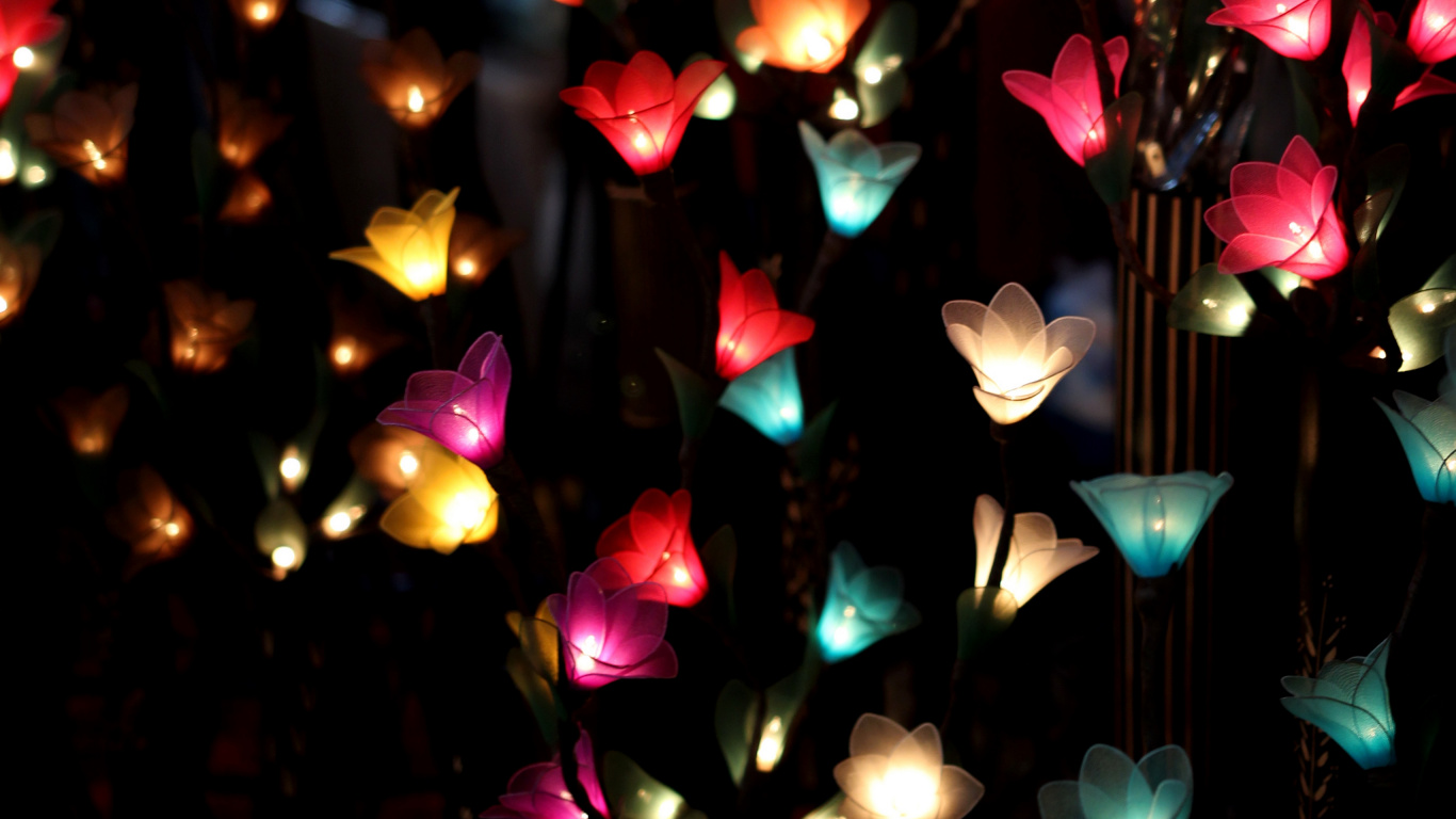 Guirnalda, Luz, Luces de Navidad, Ceremonia, Evento. Wallpaper in 1366x768 Resolution