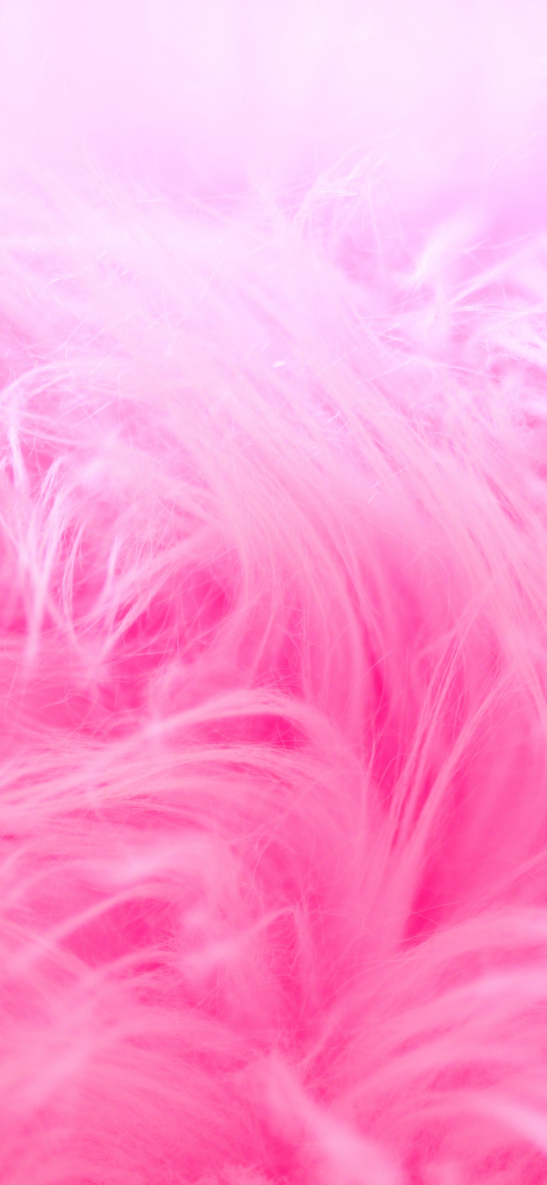 Pink and White Fur Textile. Wallpaper in 1125x2436 Resolution