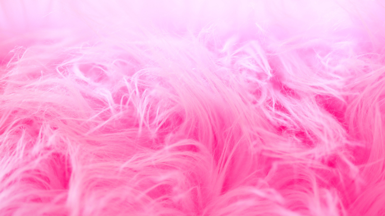 Pink and White Fur Textile. Wallpaper in 1280x720 Resolution