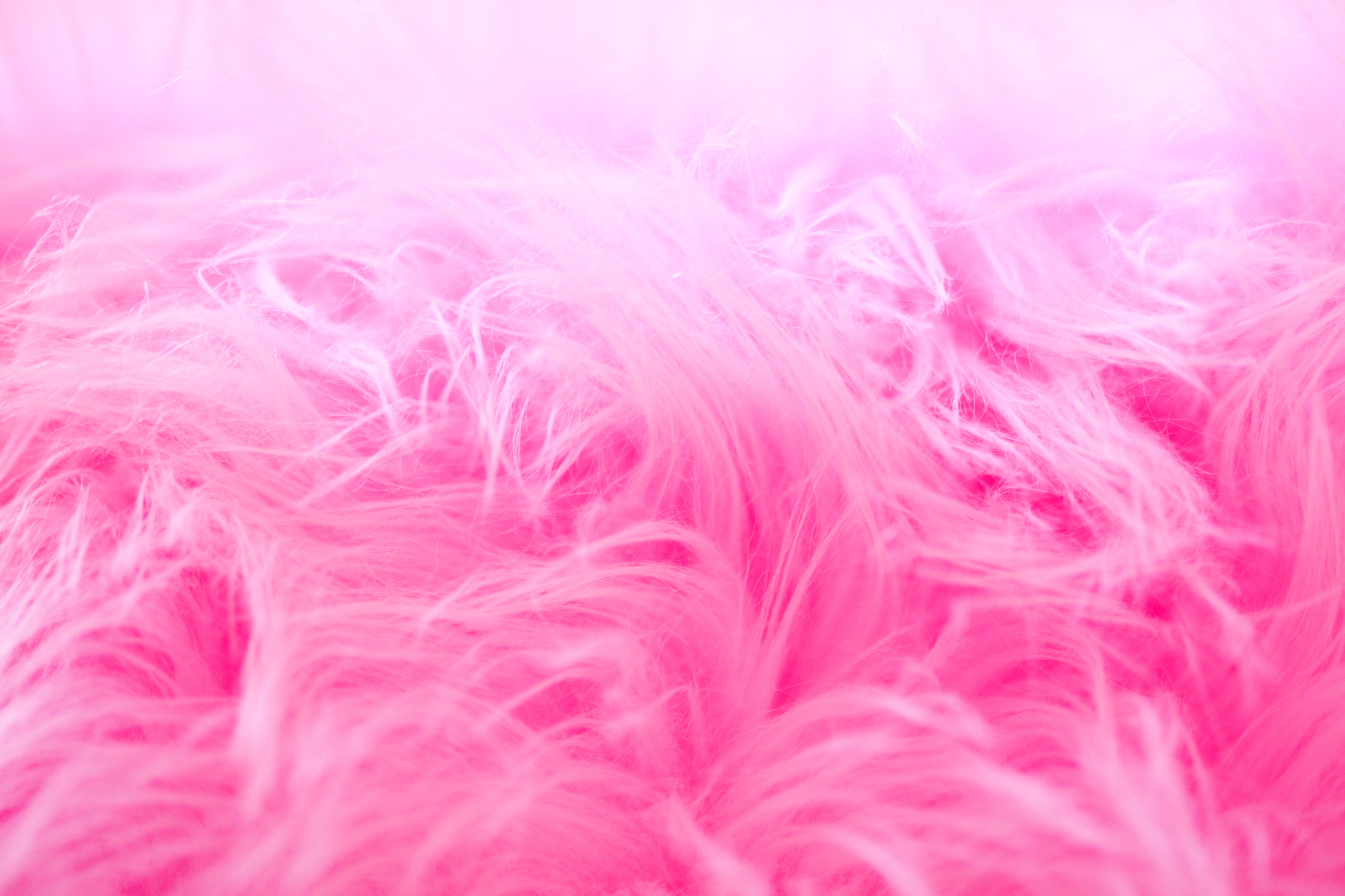 Lush blush textures  Pink fur wallpaper Pink wallpaper iphone Colorful  wallpaper
