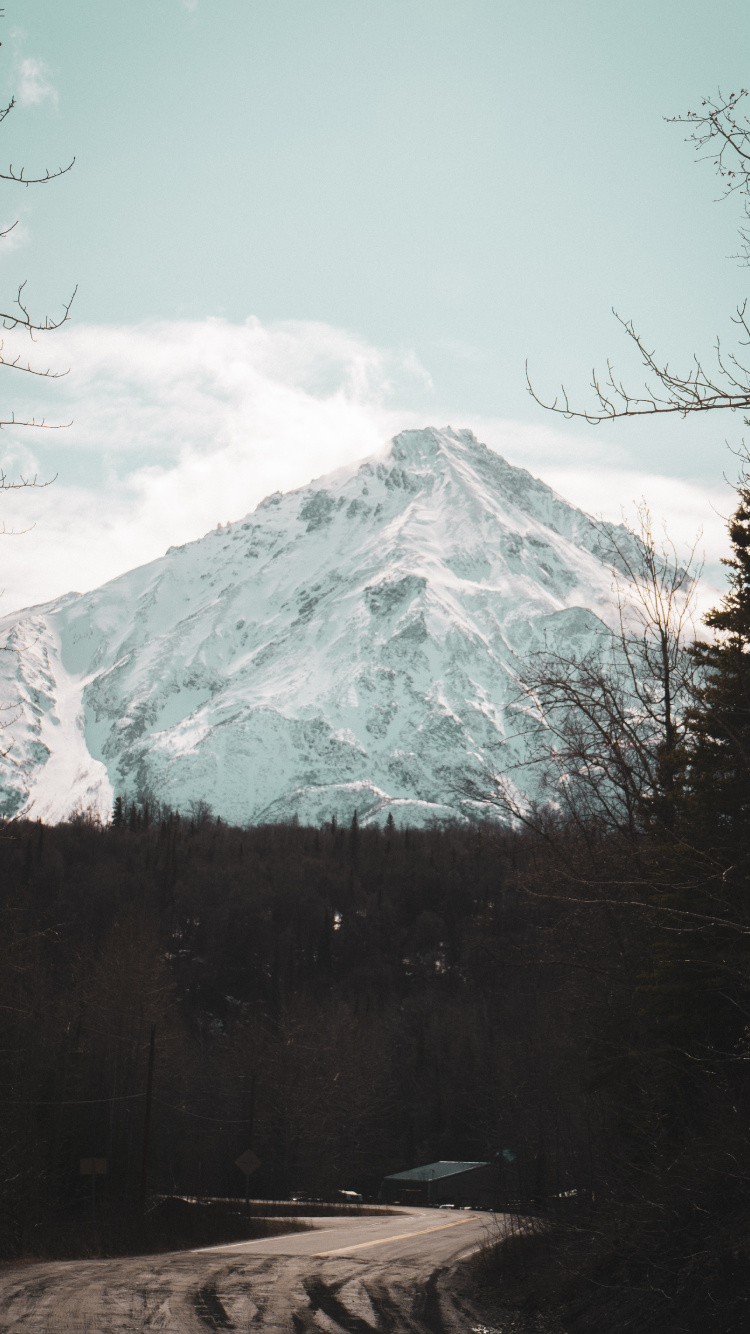 Baum, Hochland, Geologie, Mount Scenery, Bergigen Landschaftsformen. Wallpaper in 750x1334 Resolution