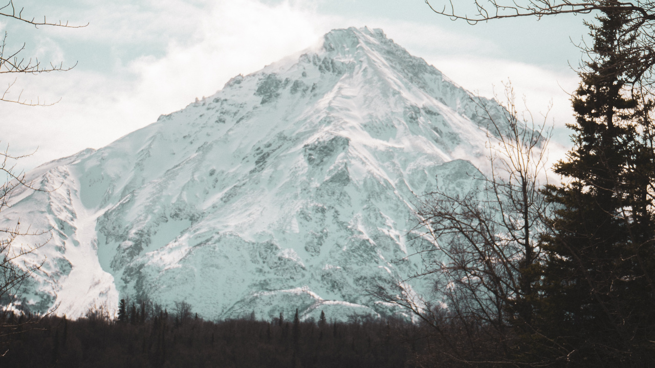 Tree, Highland, Geology, Mount Scenery, Mountainous Landforms. Wallpaper in 1280x720 Resolution