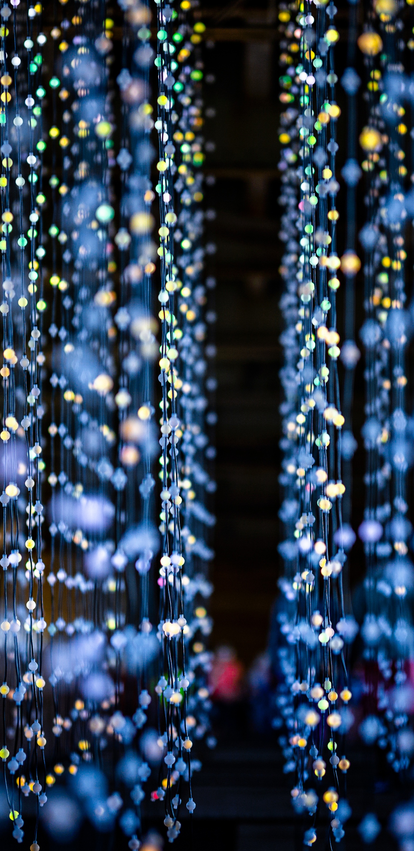 圣诞彩灯, 光, 对称, 电蓝色的, Garland 壁纸 1440x2960 允许