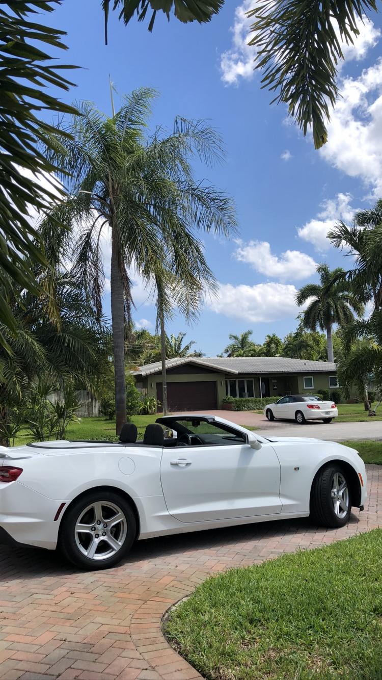 雪佛兰camaro, 迈阿密, 敞篷车, 房地产, 警车 壁纸 750x1334 允许