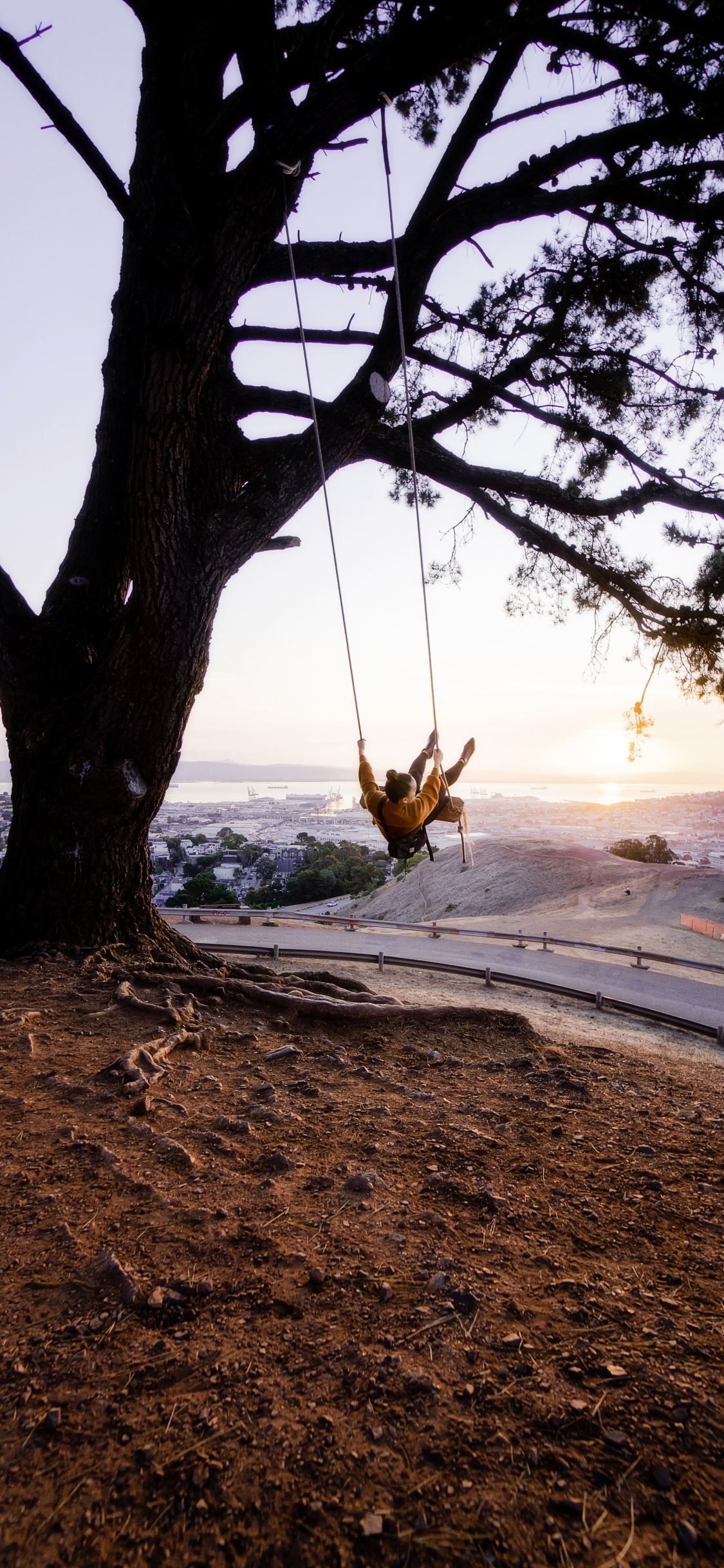 Tronc D'arbre Brun Sur la Plage Pendant le Coucher du Soleil. Wallpaper in 1125x2436 Resolution