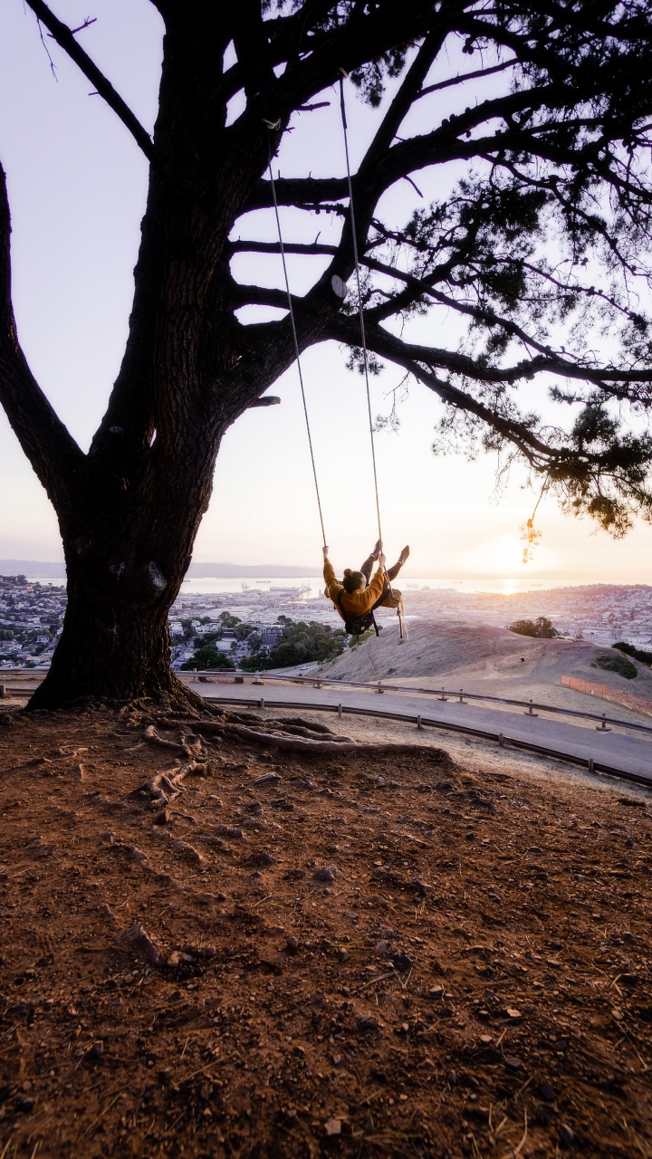 Tronc D'arbre Brun Sur la Plage Pendant le Coucher du Soleil. Wallpaper in 720x1280 Resolution