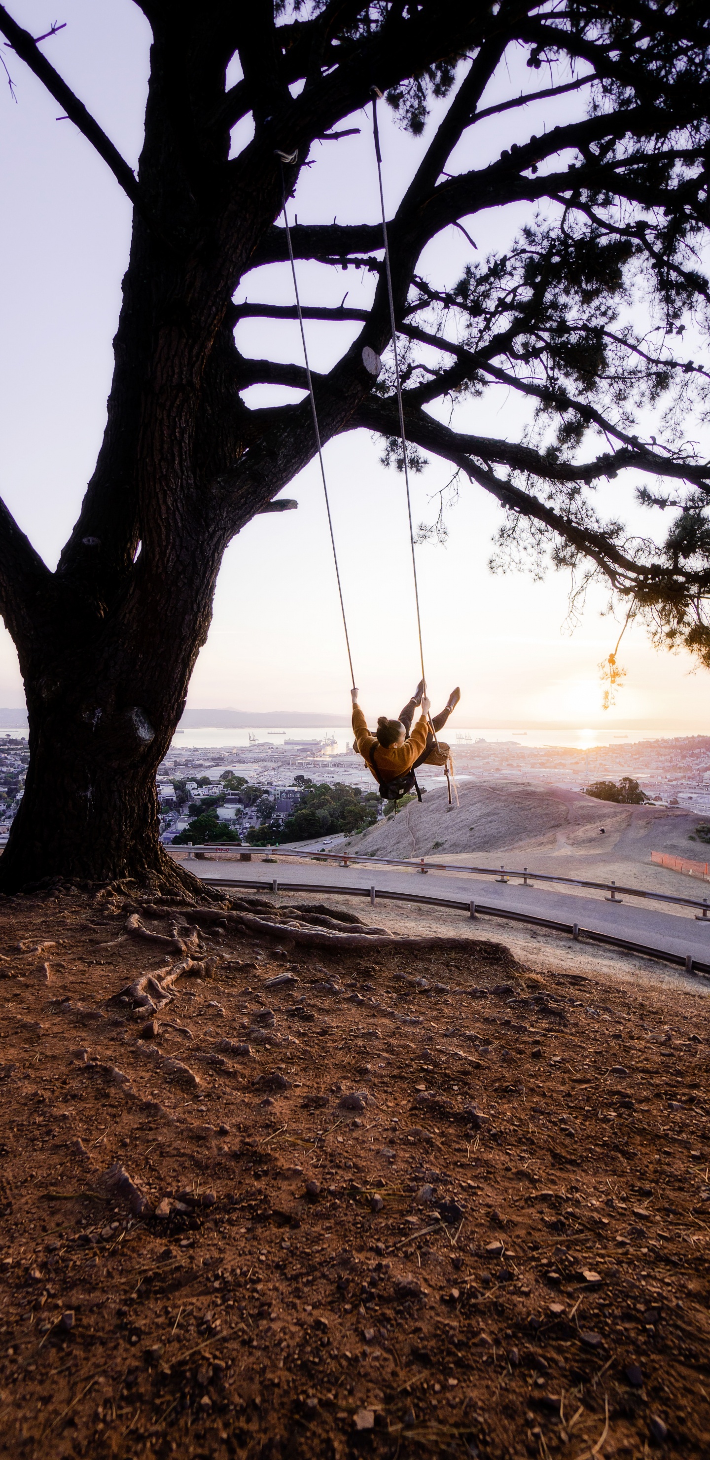 Brauner Baumstamm am Strand Bei Sonnenuntergang. Wallpaper in 1440x2960 Resolution
