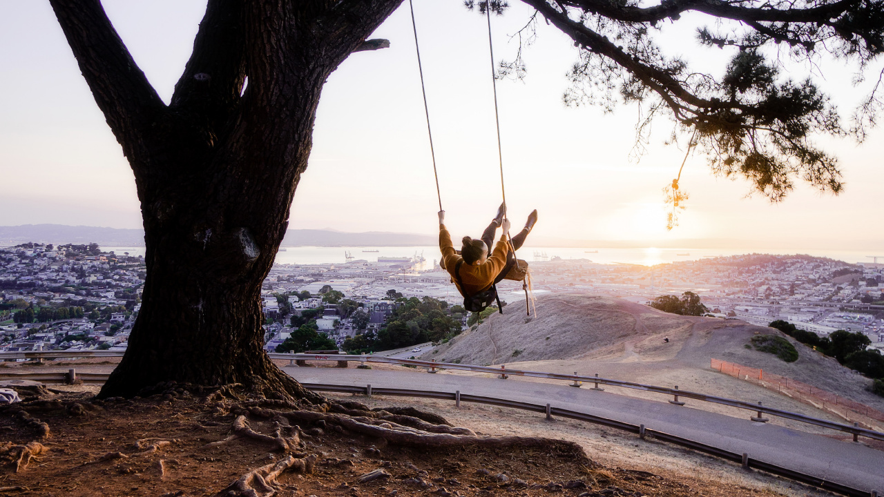 性质, 木本植物, 早上, 木, 旧金山 壁纸 1280x720 允许