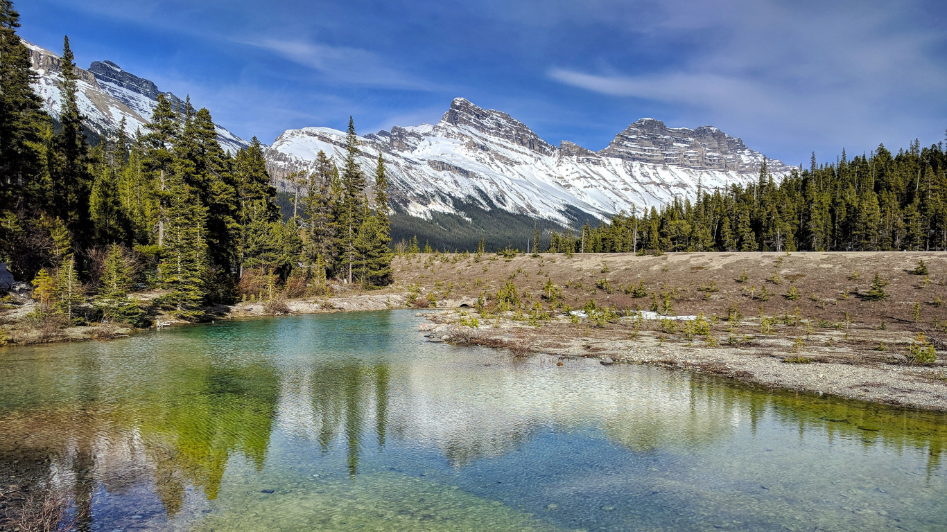 自然环境, 自然景观, 落叶松 壁纸 1366x768 允许