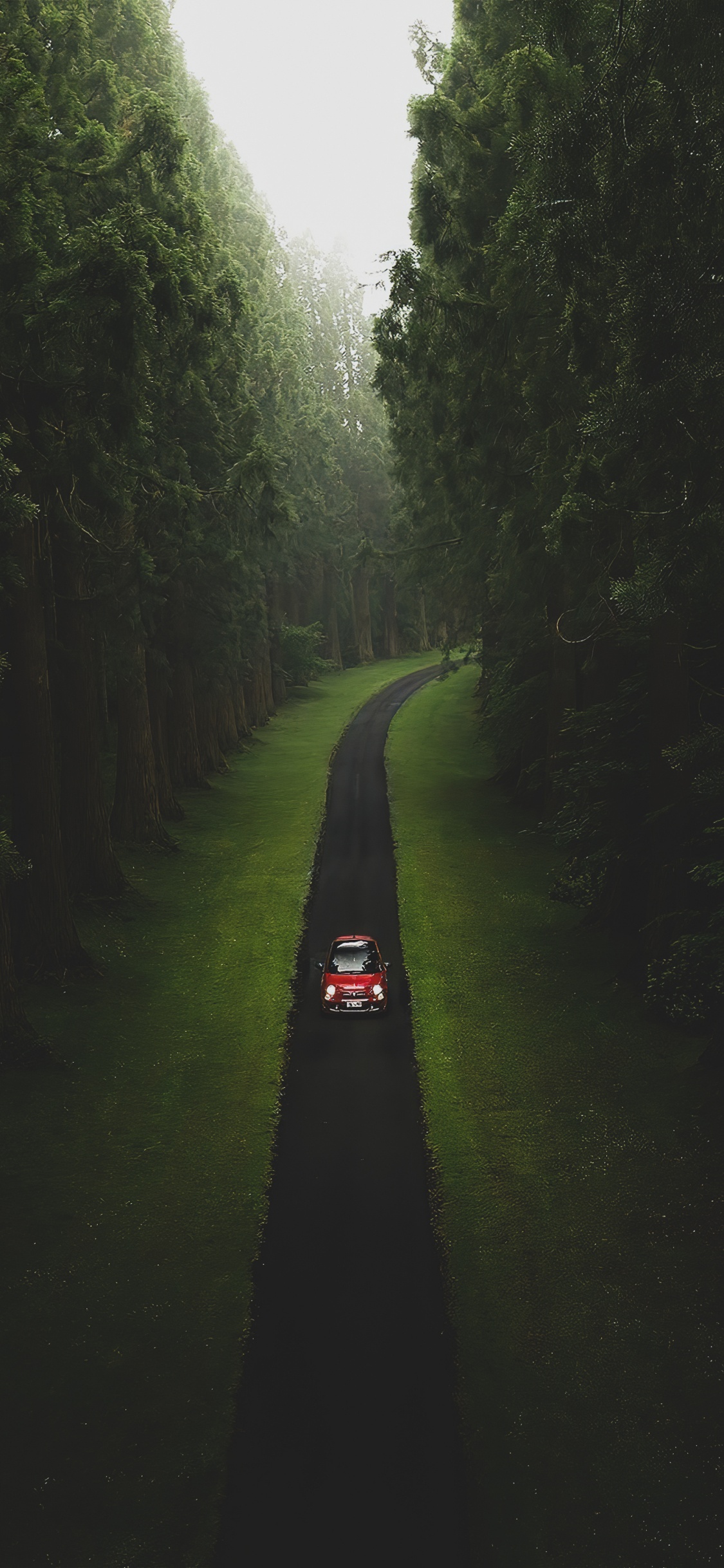 Naturaleza, la Superficie de la Carretera, Agua, Asfalto, Paisaje Natural. Wallpaper in 1125x2436 Resolution