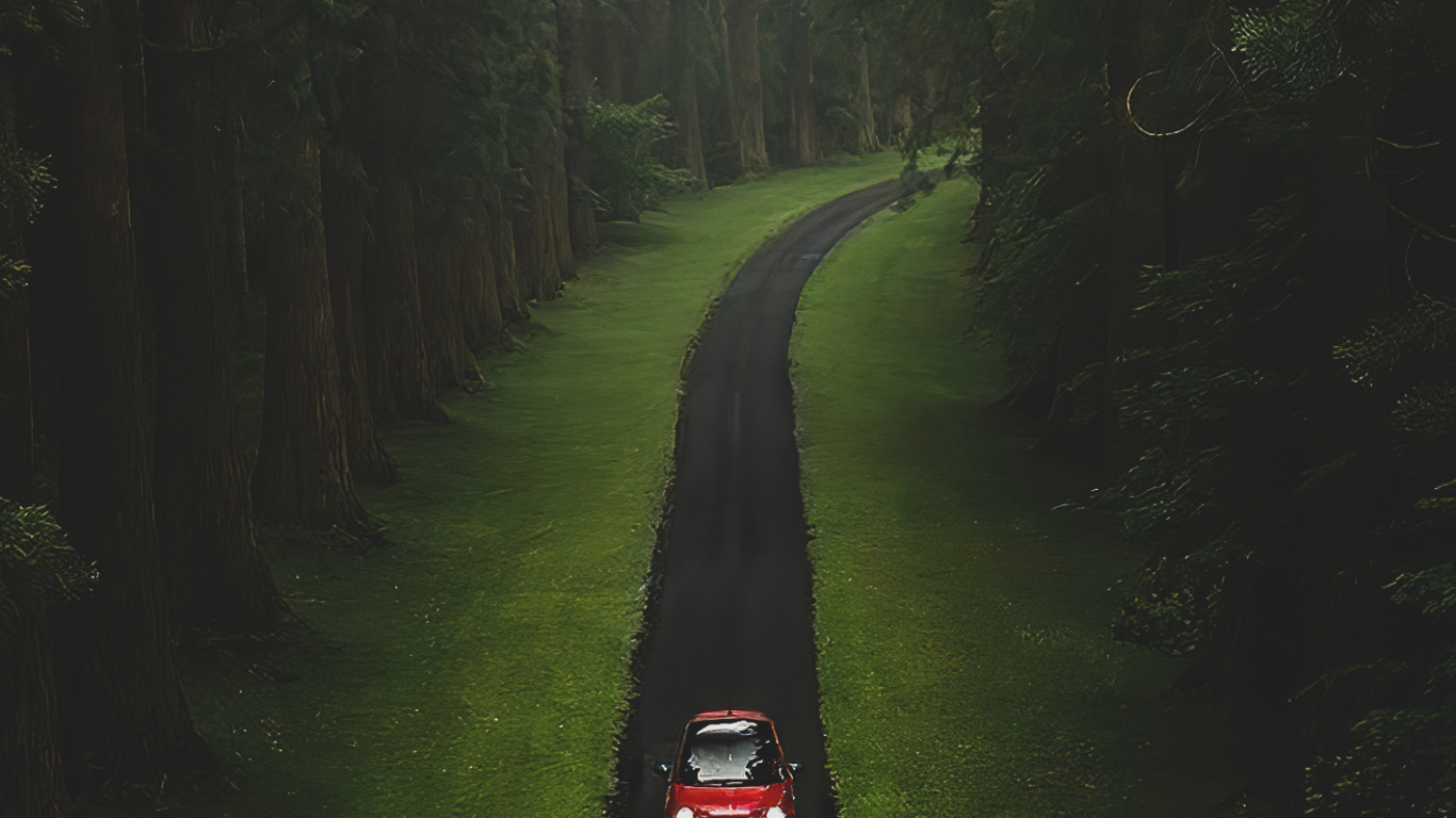 Nature, Plant, Road Surface, Water, Asphalt. Wallpaper in 1366x768 Resolution