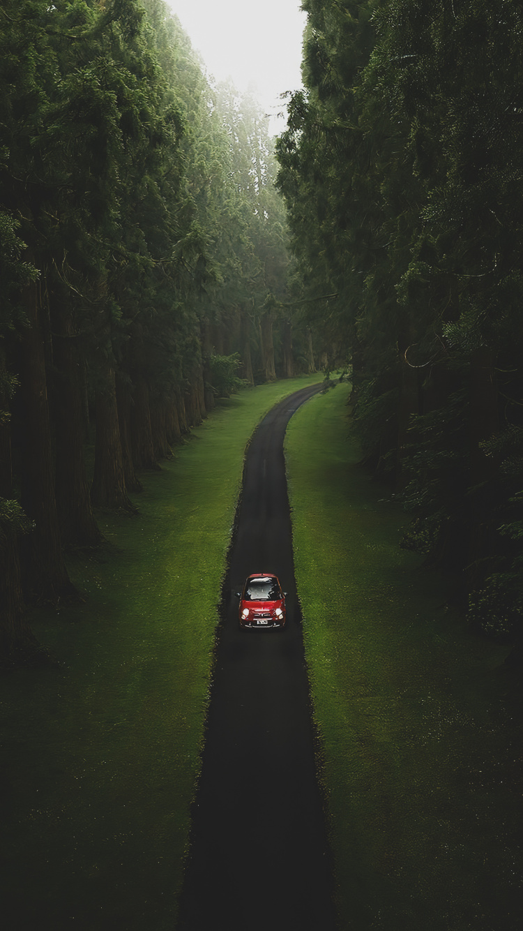 Nature, Surface de la Route, Eau, Asphalt, Paysage Naturel. Wallpaper in 750x1334 Resolution