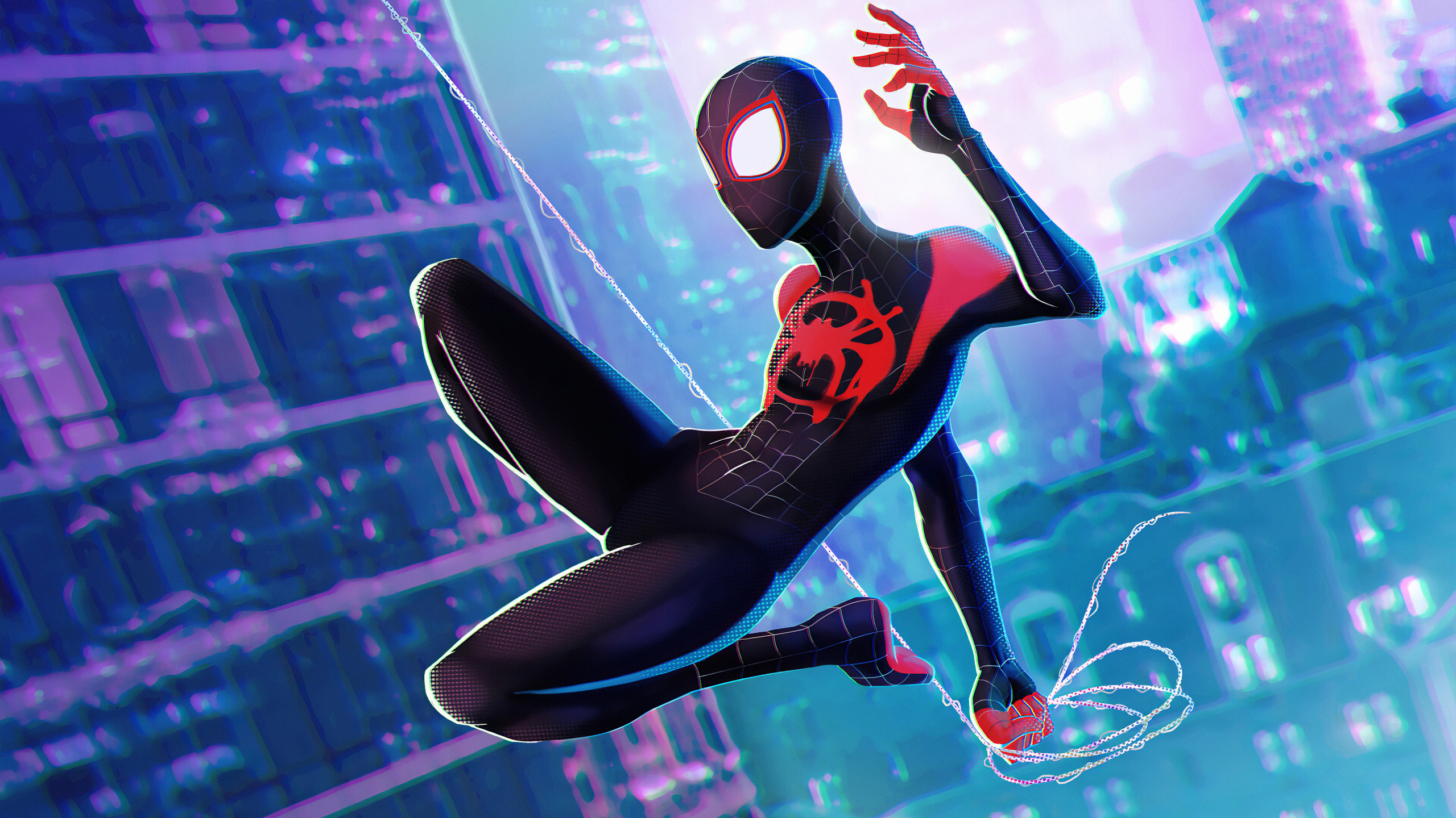 Ilustración de Pingüino Blanco y Negro. Wallpaper in 2560x1440 Resolution