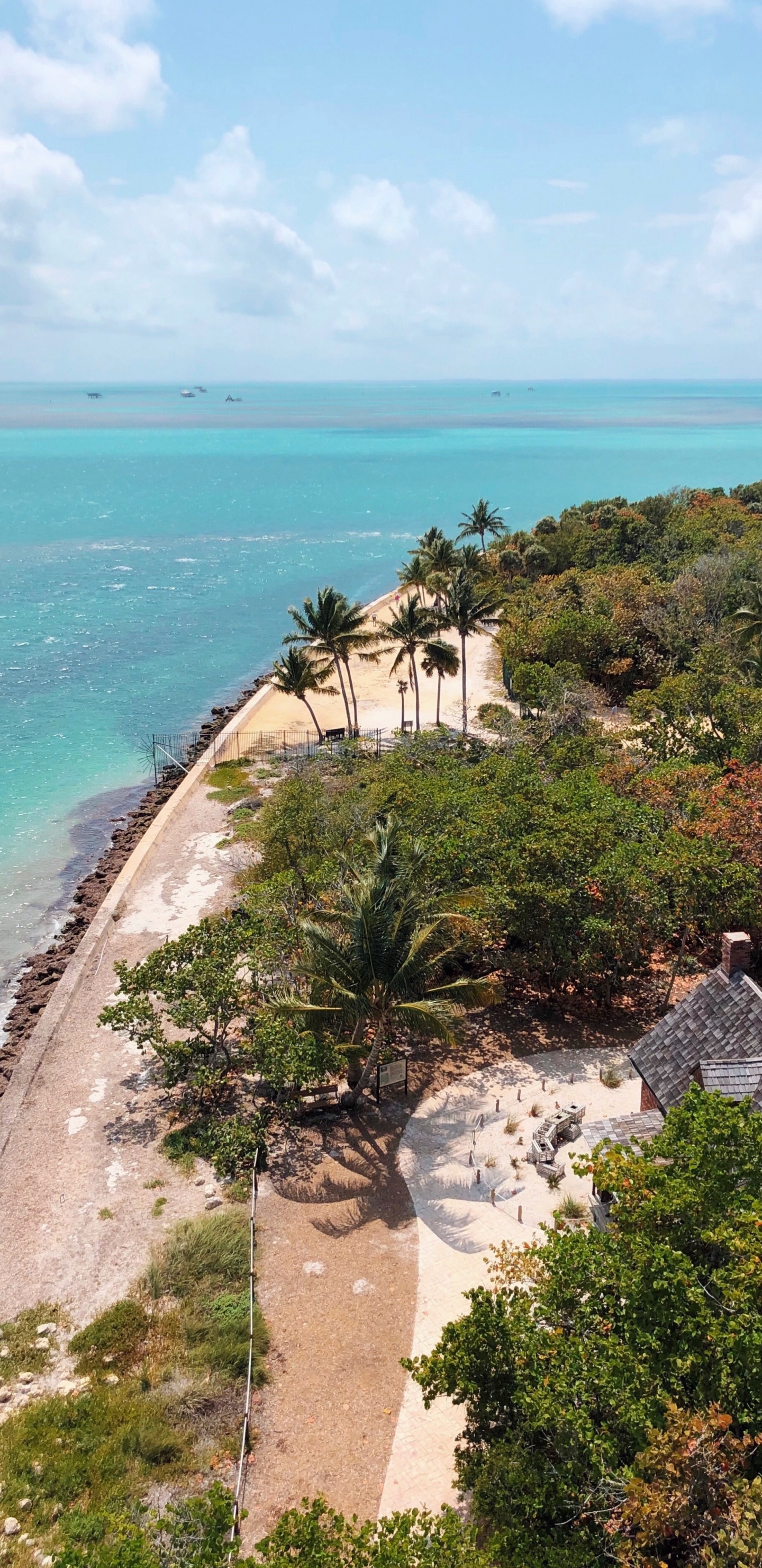 Coast, Sea, Vegetation, Promontory, Headland. Wallpaper in 1440x2960 Resolution