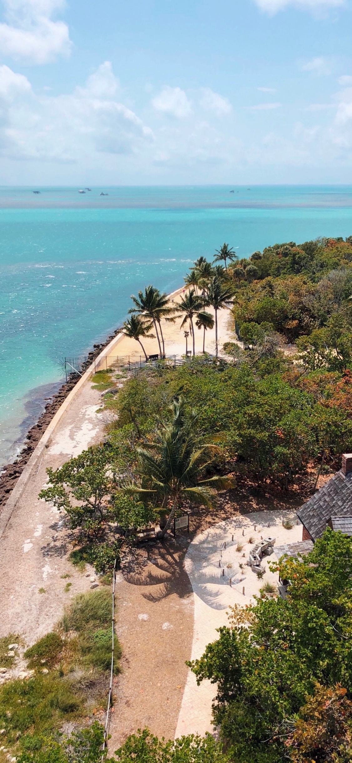 Côte, Mer, Végétation, Promontoire, Zones Côtières et Océaniques de Reliefs. Wallpaper in 1125x2436 Resolution
