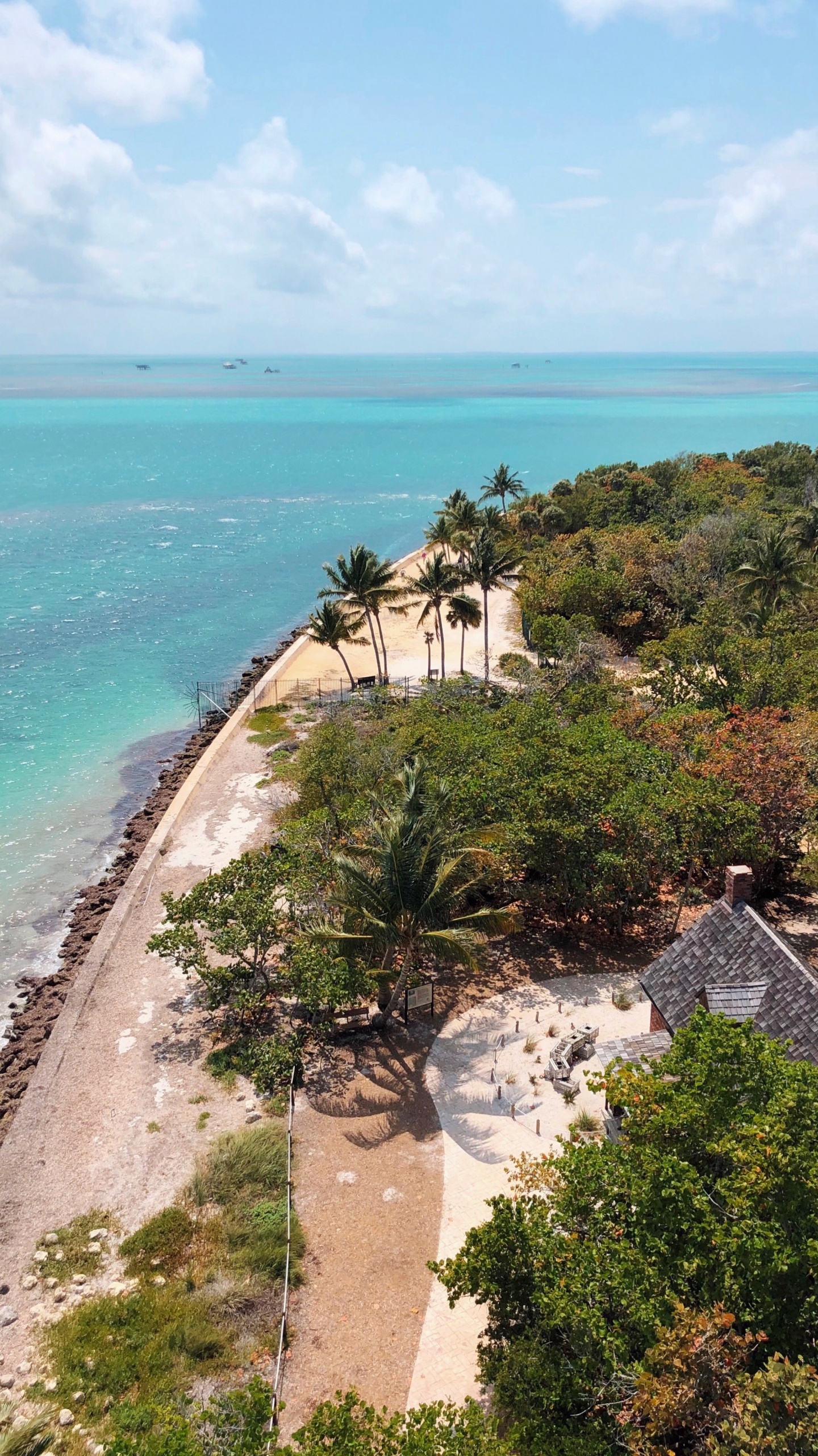 Côte, Mer, Végétation, Promontoire, Zones Côtières et Océaniques de Reliefs. Wallpaper in 1440x2560 Resolution