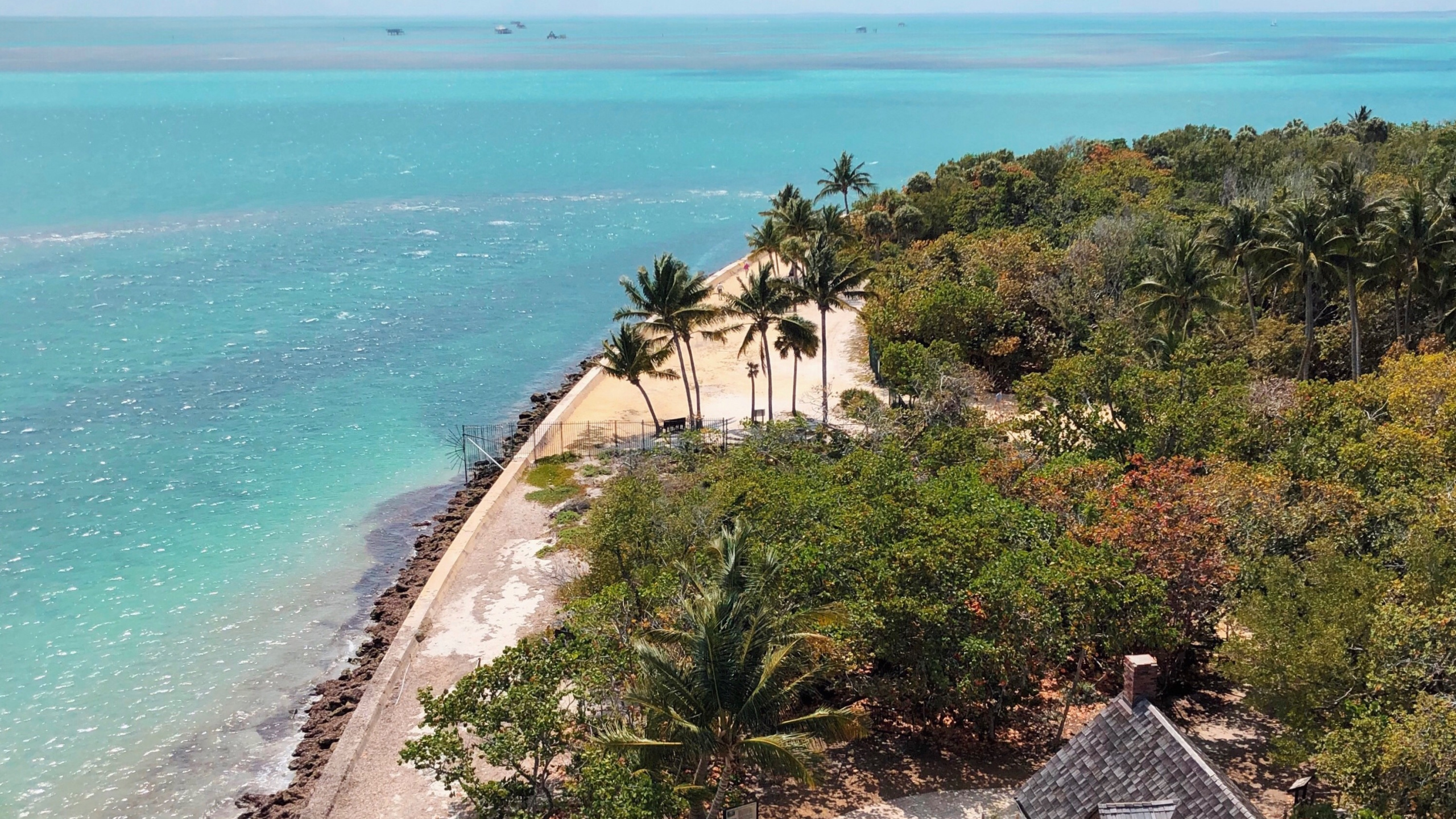 海岸, 大海, 植被, 海角, 岬 壁纸 2560x1440 允许