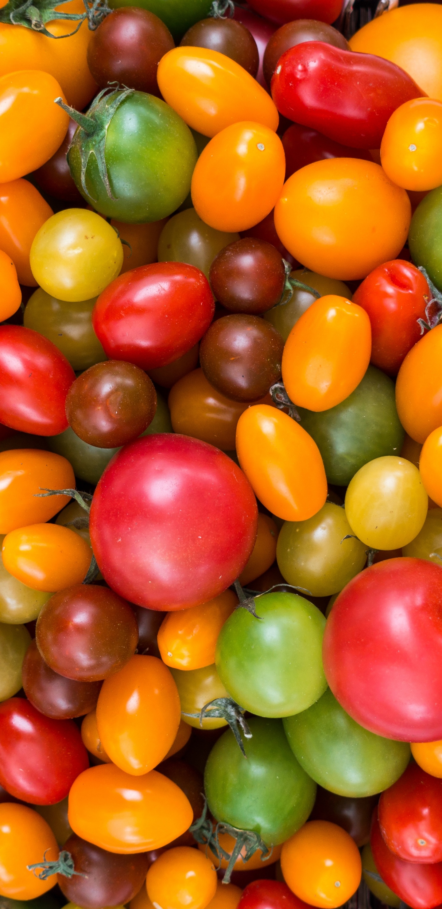 Fruits Ronds Verts et Rouges. Wallpaper in 1440x2960 Resolution