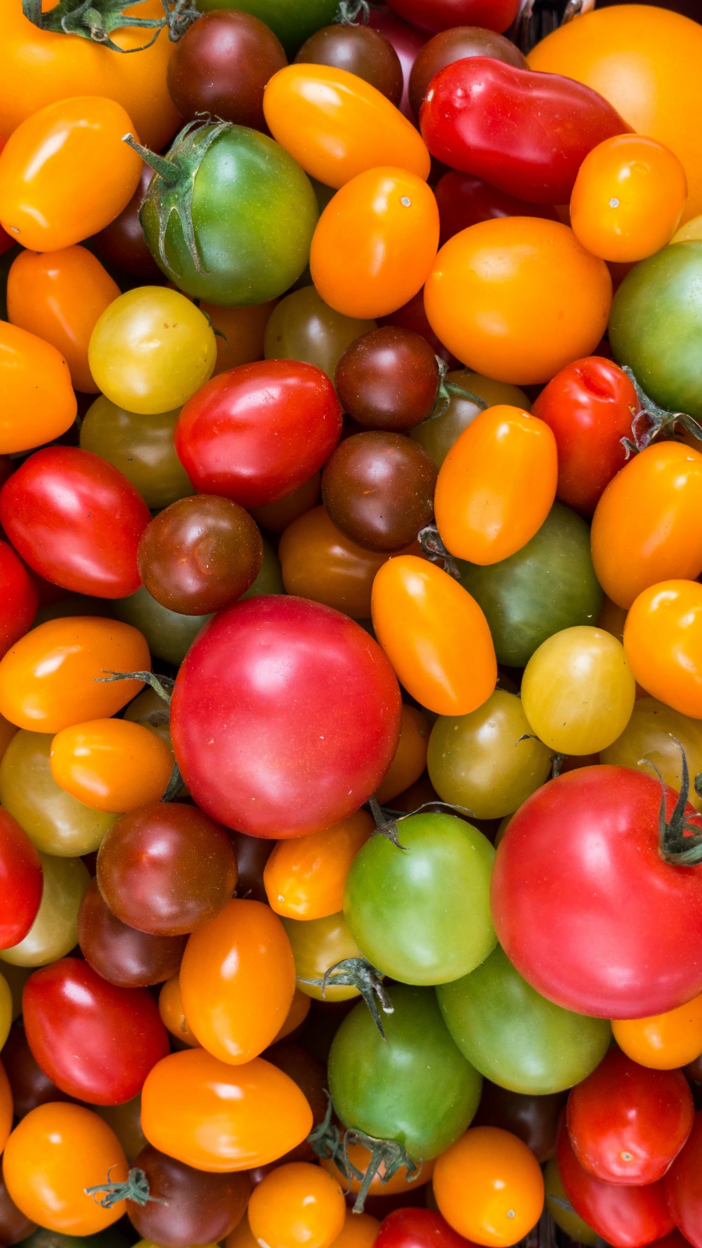 Green and Red Round Fruits. Wallpaper in 1440x2560 Resolution
