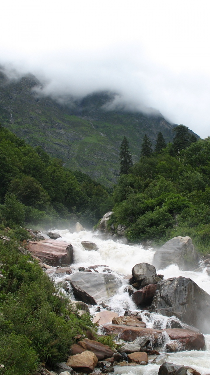 Leute, Die Tagsüber Auf Einem Felsigen Fluss Laufen. Wallpaper in 720x1280 Resolution